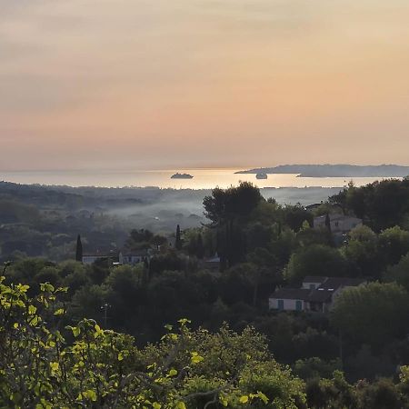 Bed and Breakfast Le Mas Saint Michel Grimaud Exterior foto