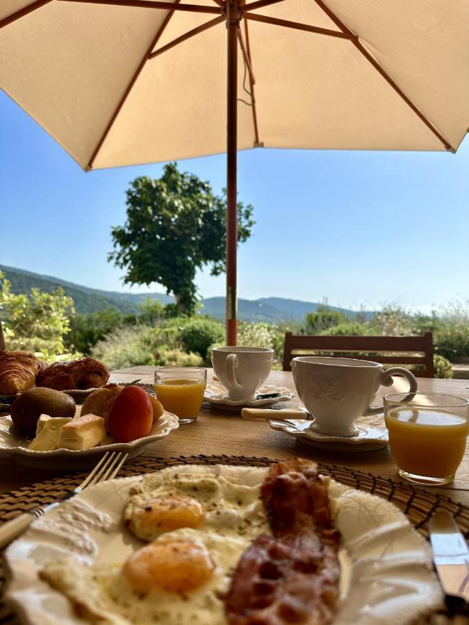 Bed and Breakfast Le Mas Saint Michel Grimaud Exterior foto