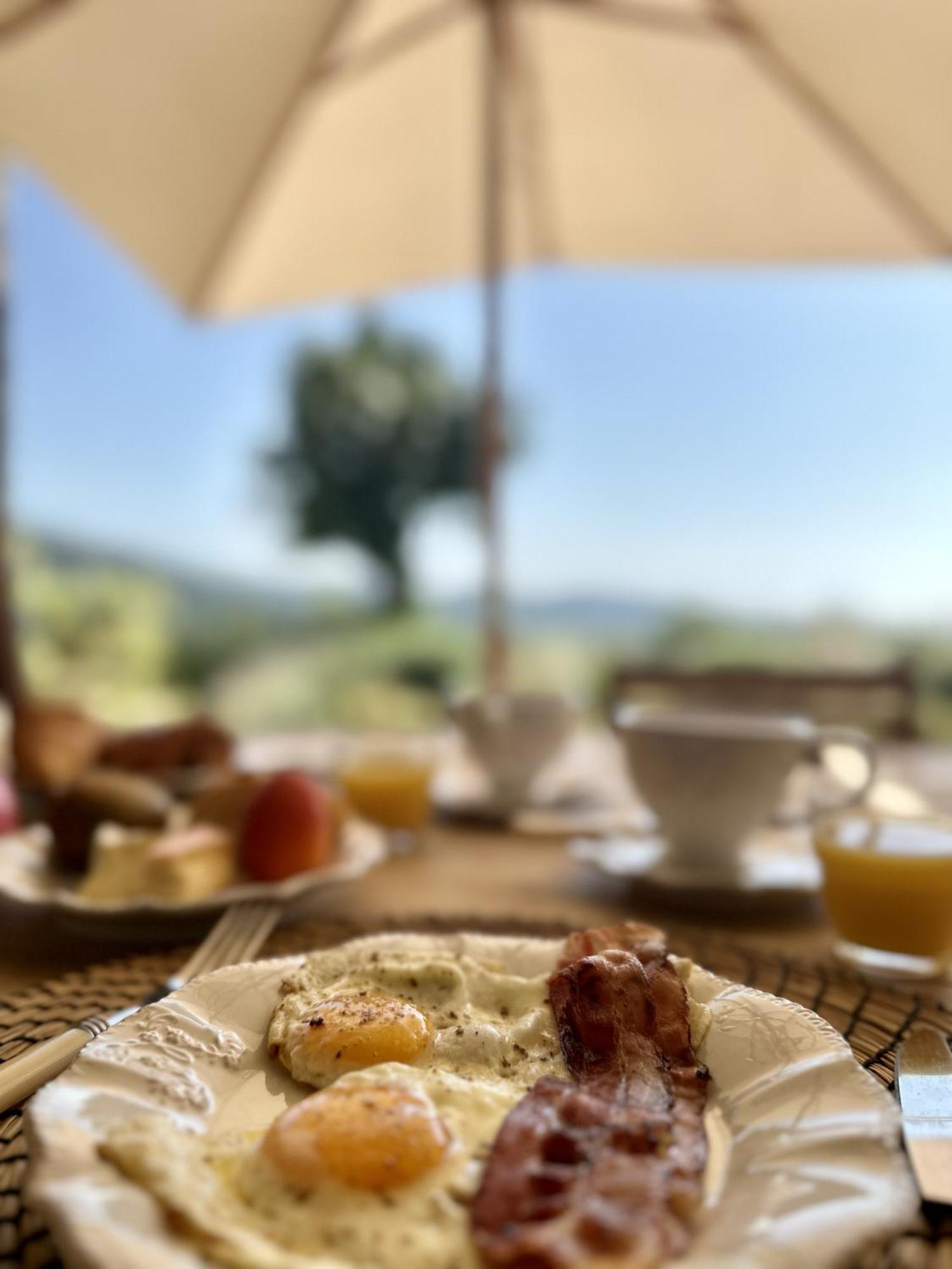 Bed and Breakfast Le Mas Saint Michel Grimaud Exterior foto