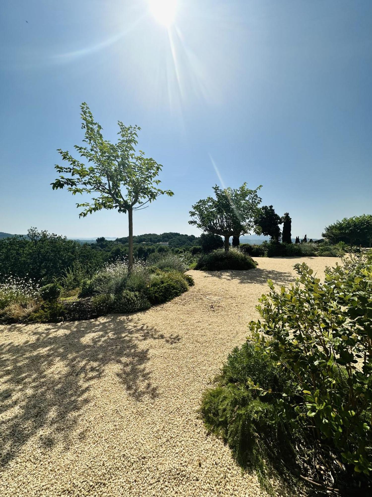 Bed and Breakfast Le Mas Saint Michel Grimaud Exterior foto