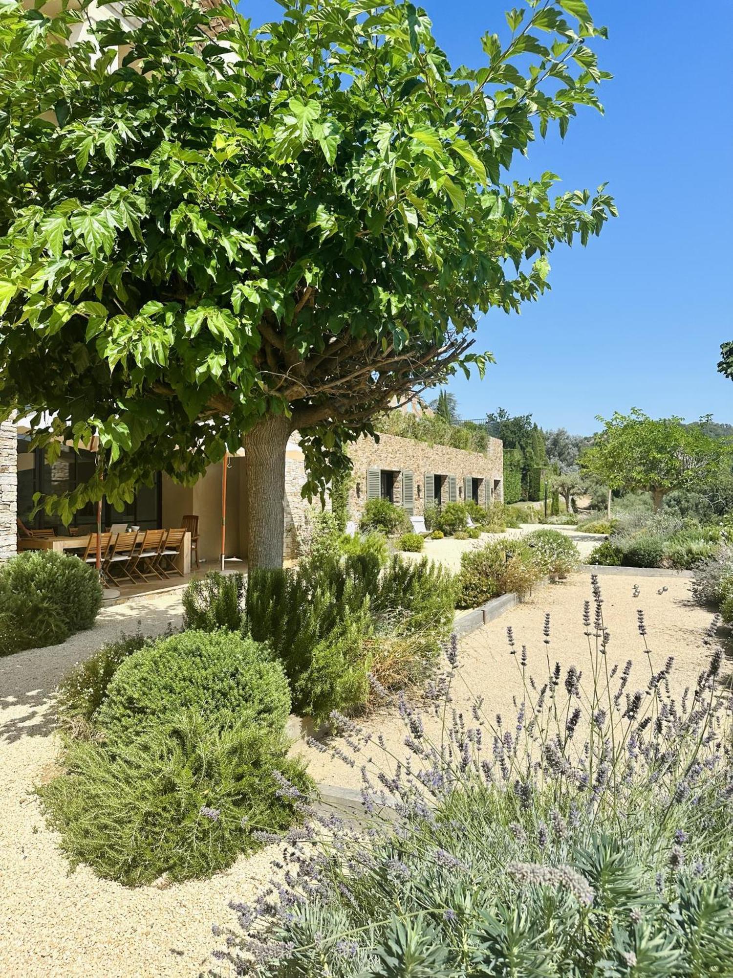 Bed and Breakfast Le Mas Saint Michel Grimaud Exterior foto